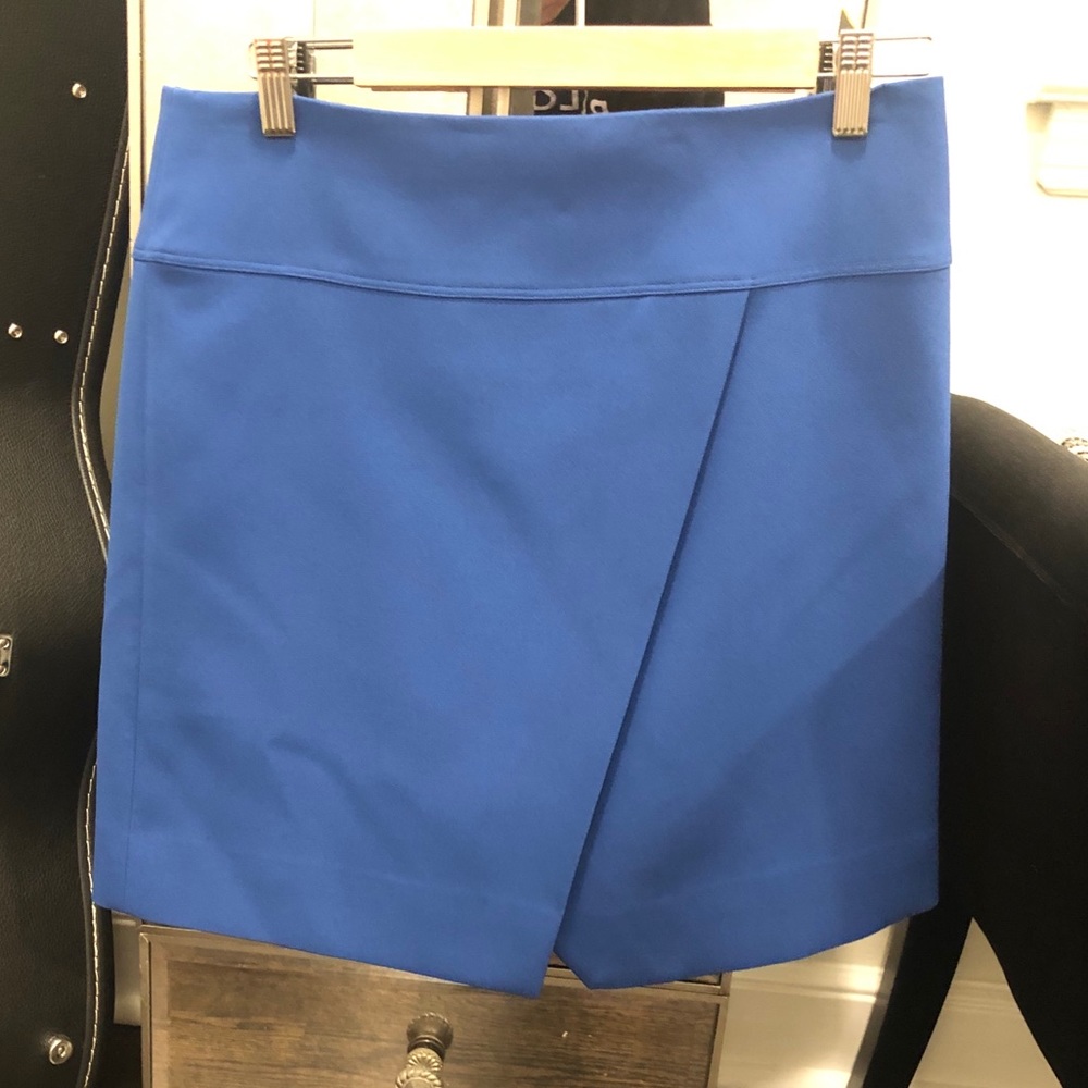 J.Crew Skirt
